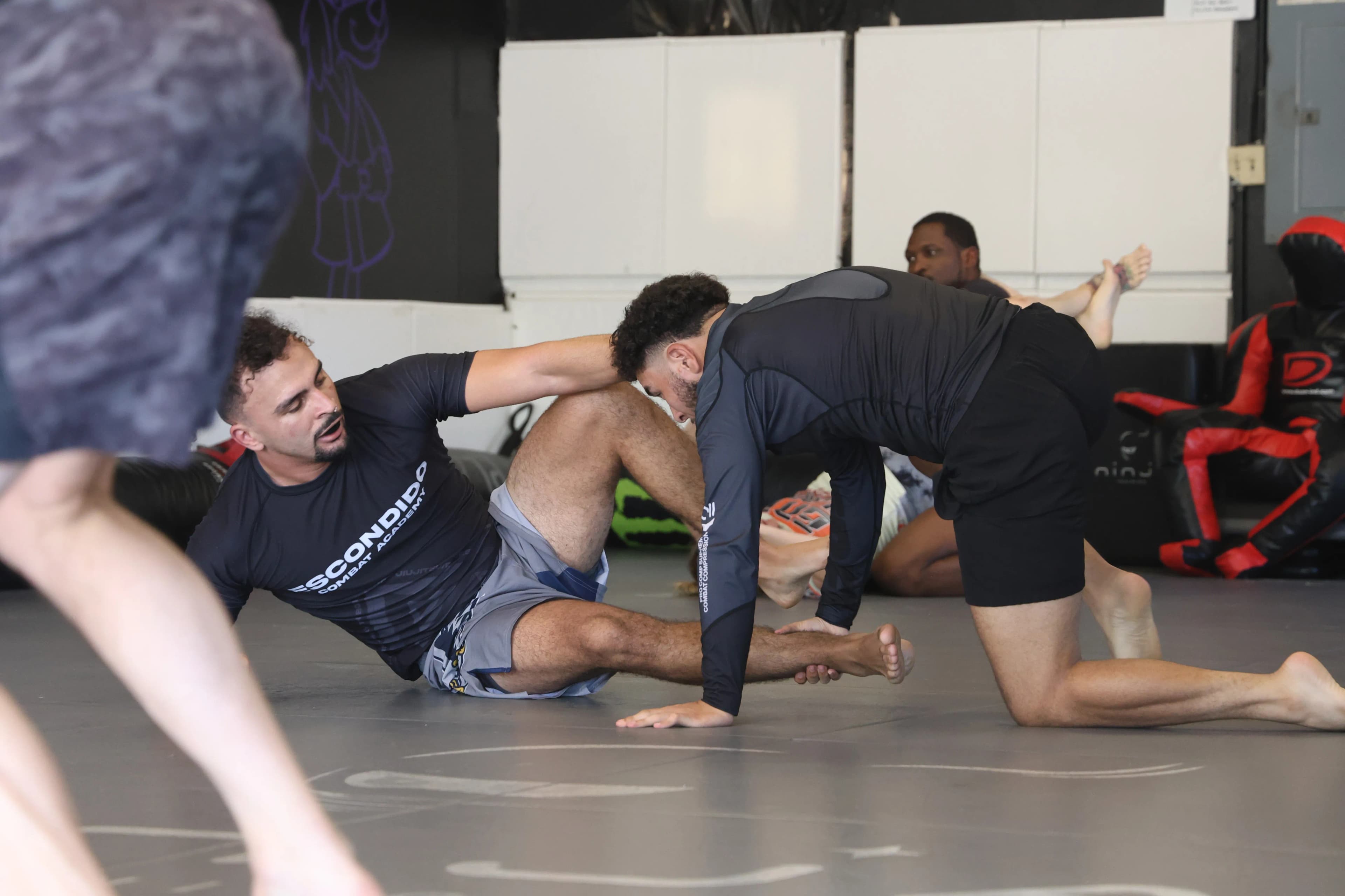 Athletic grappling shorts for No-Gi Jiu-Jitsu